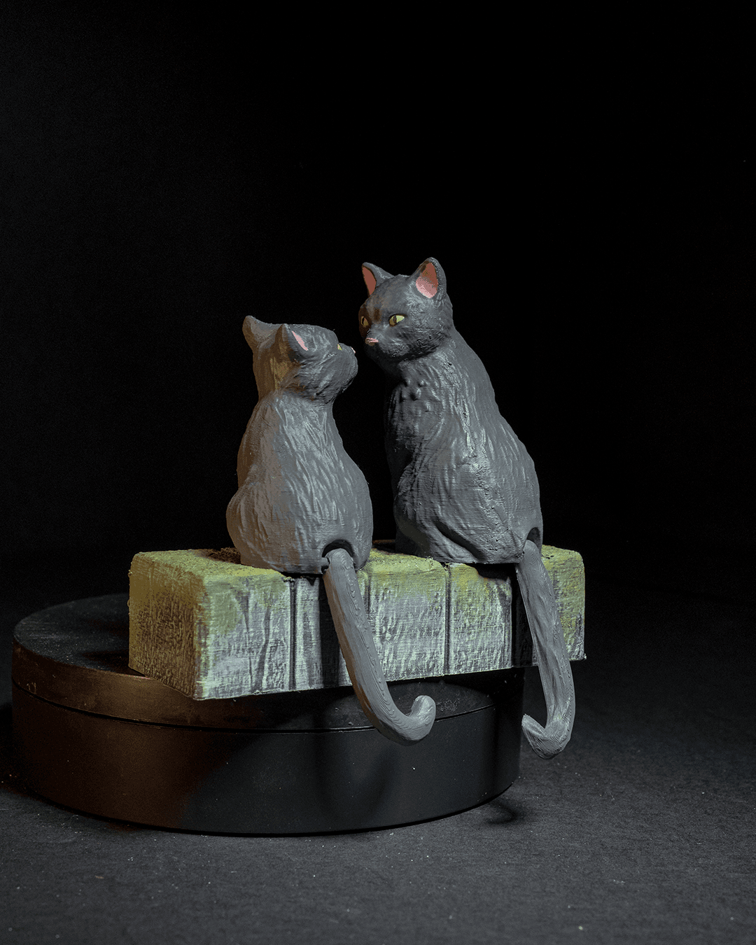 Amor de Gato - Image 4