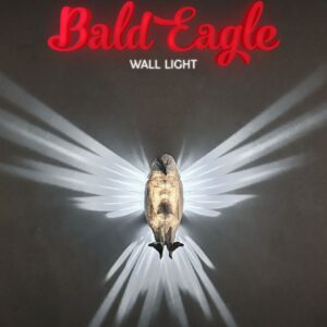 Bald Eagle Wall Light