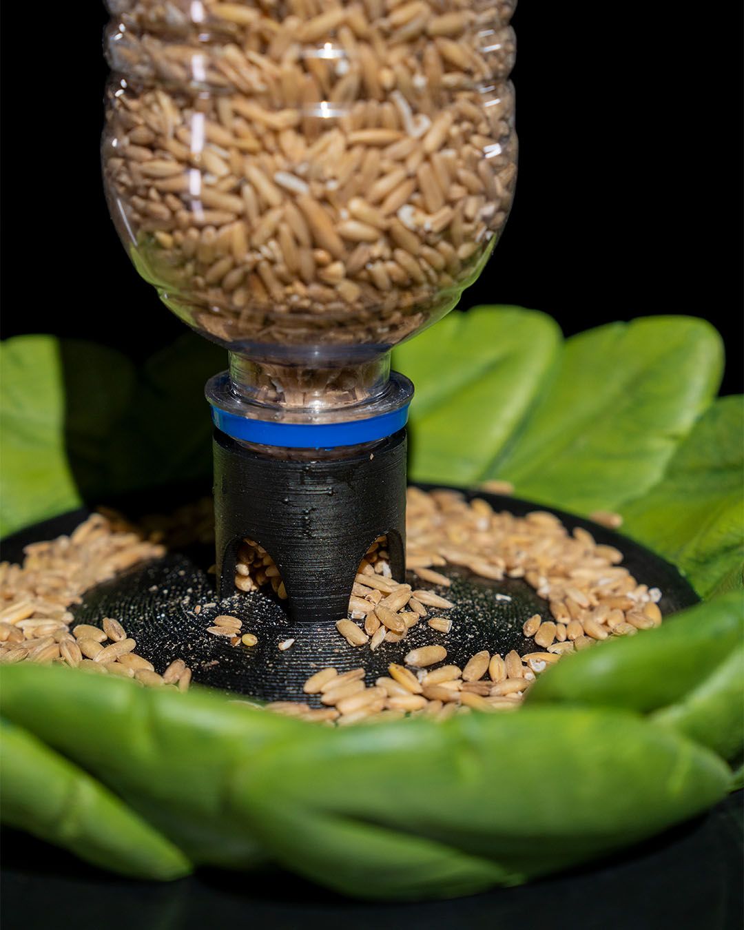 Comedouro passarinhos Bird Feeder in Disguise - Image 4