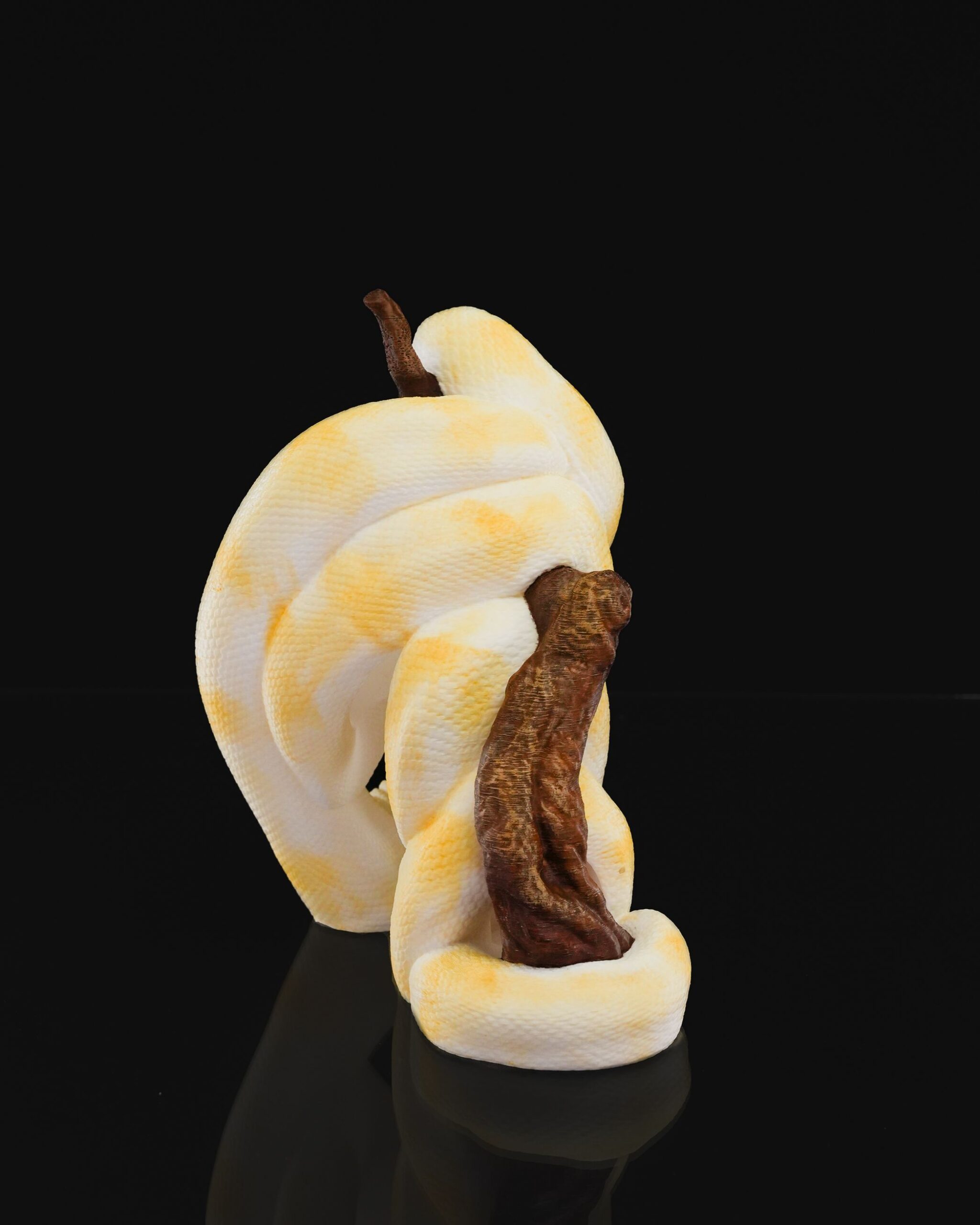 Ball Python Wine Holder - Image 3