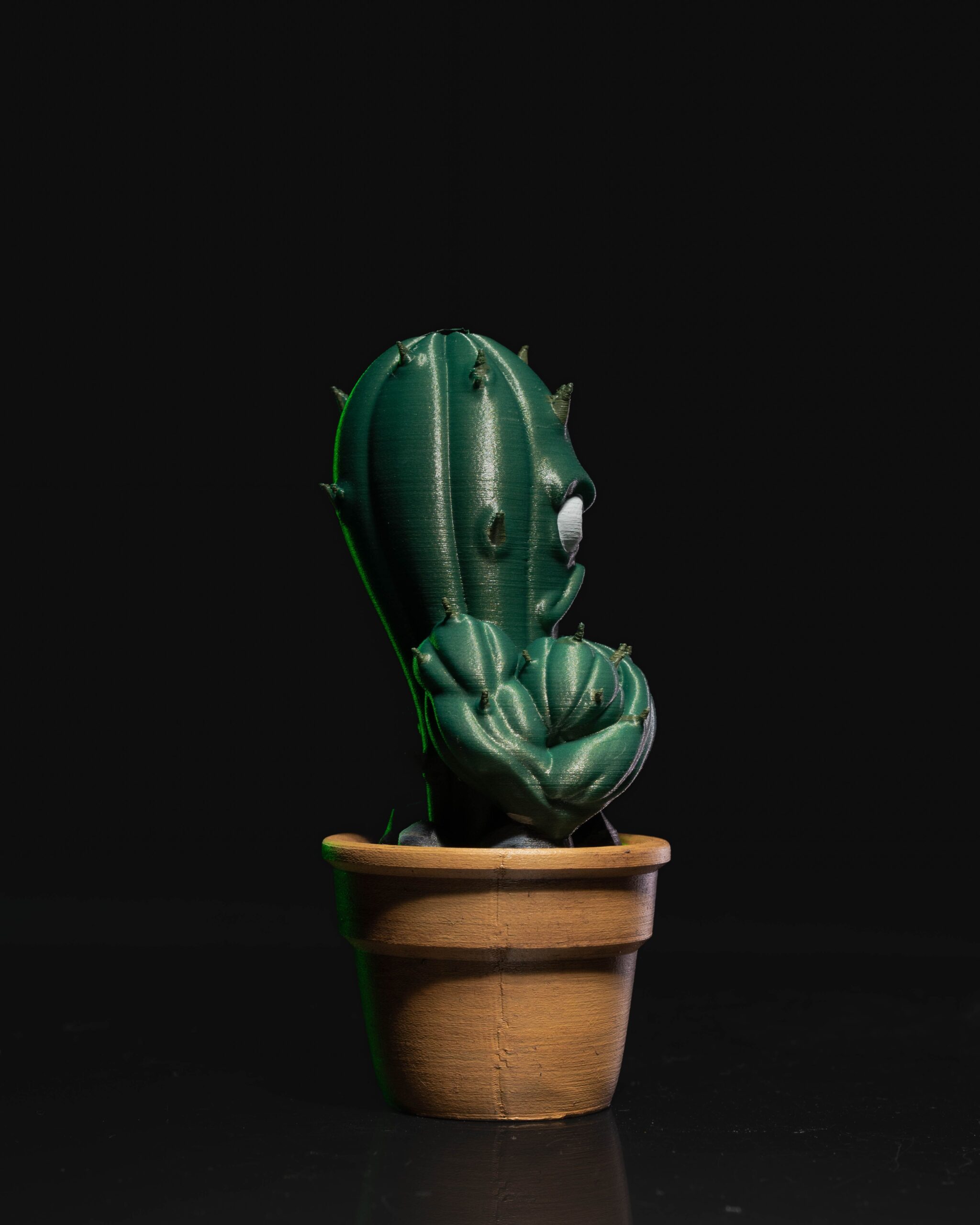 Prickly Punk Gang #3 - Image 2