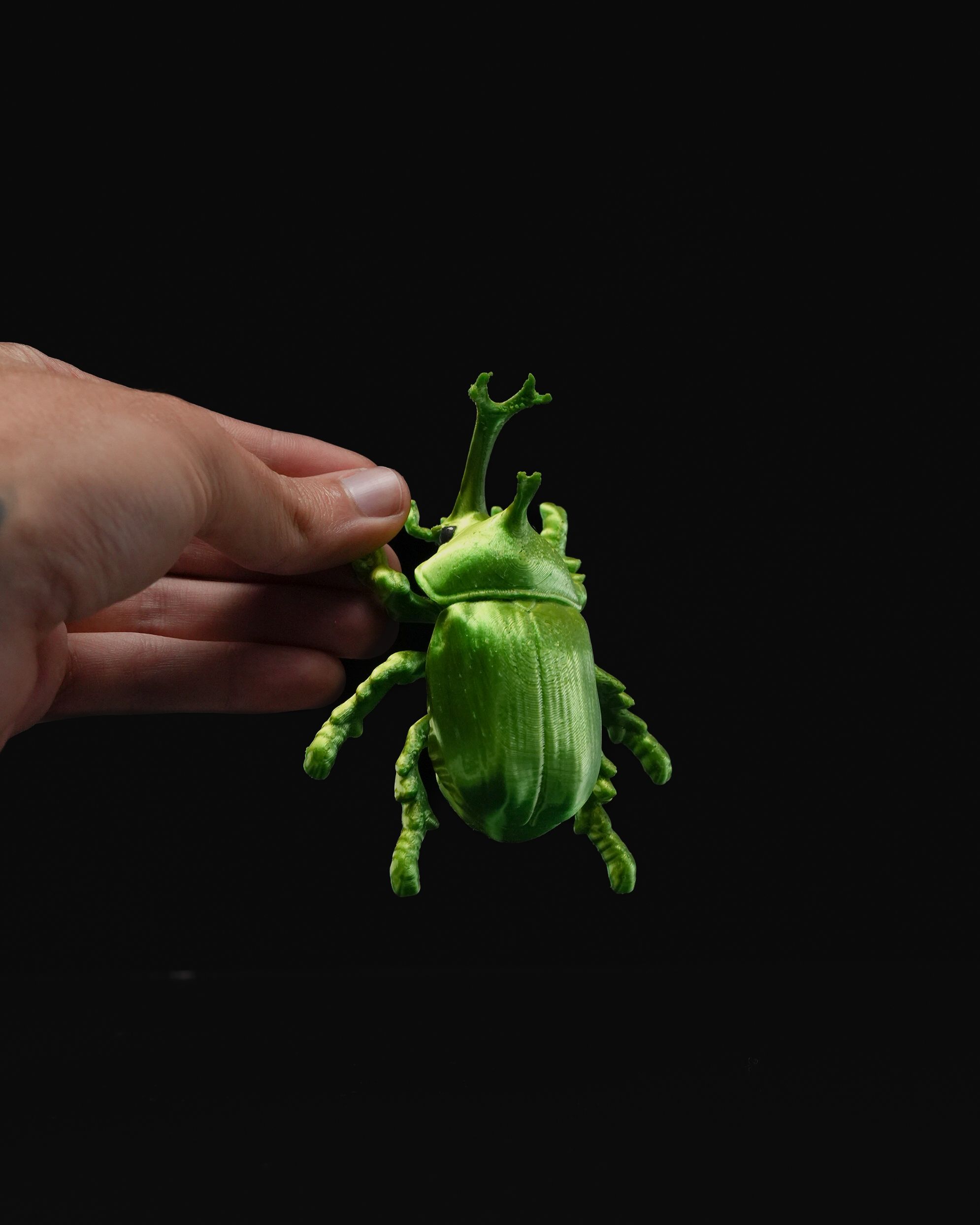 Beetles on the Wall — Rhino - Image 3