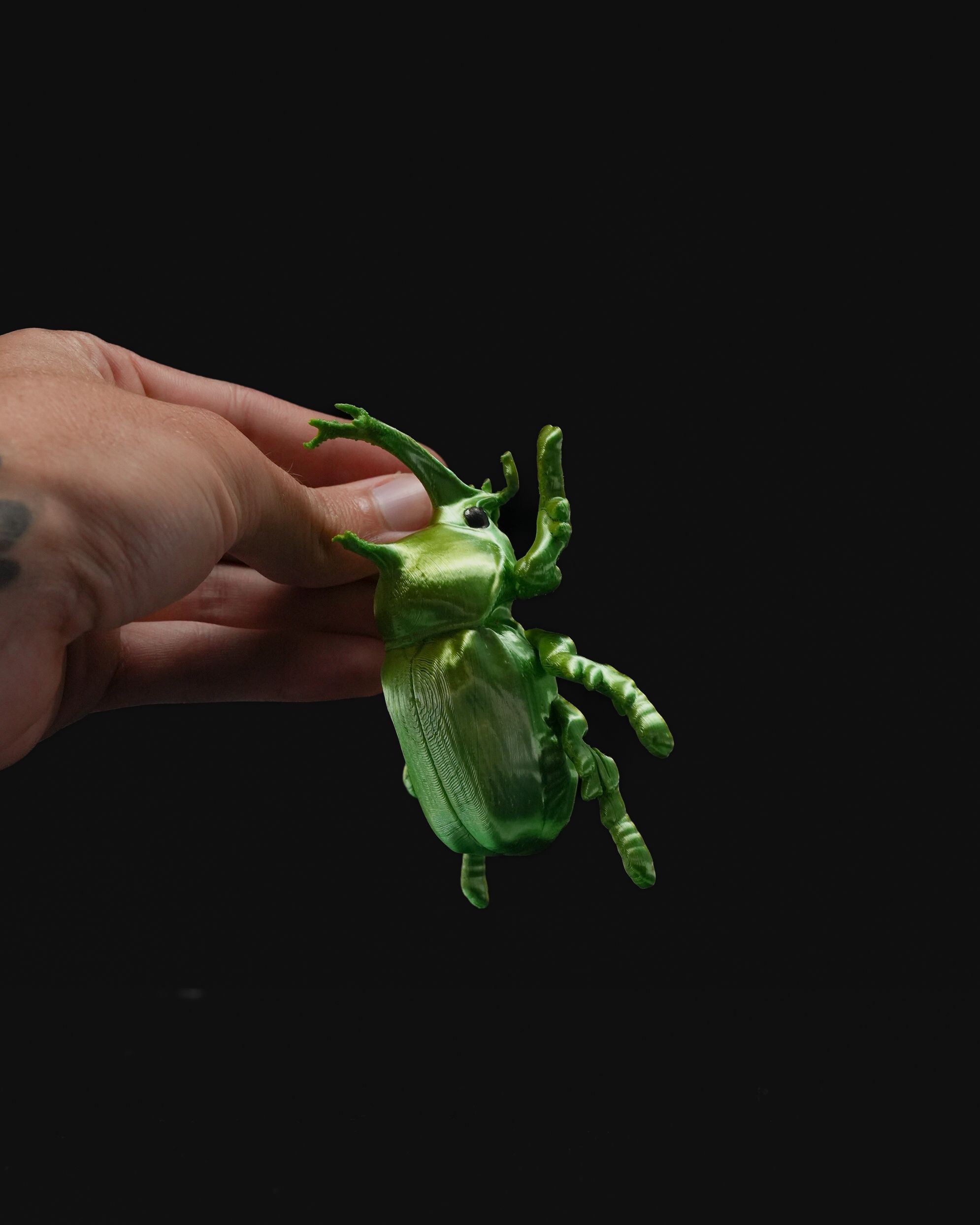 Beetles on the Wall — Rhino - Image 6