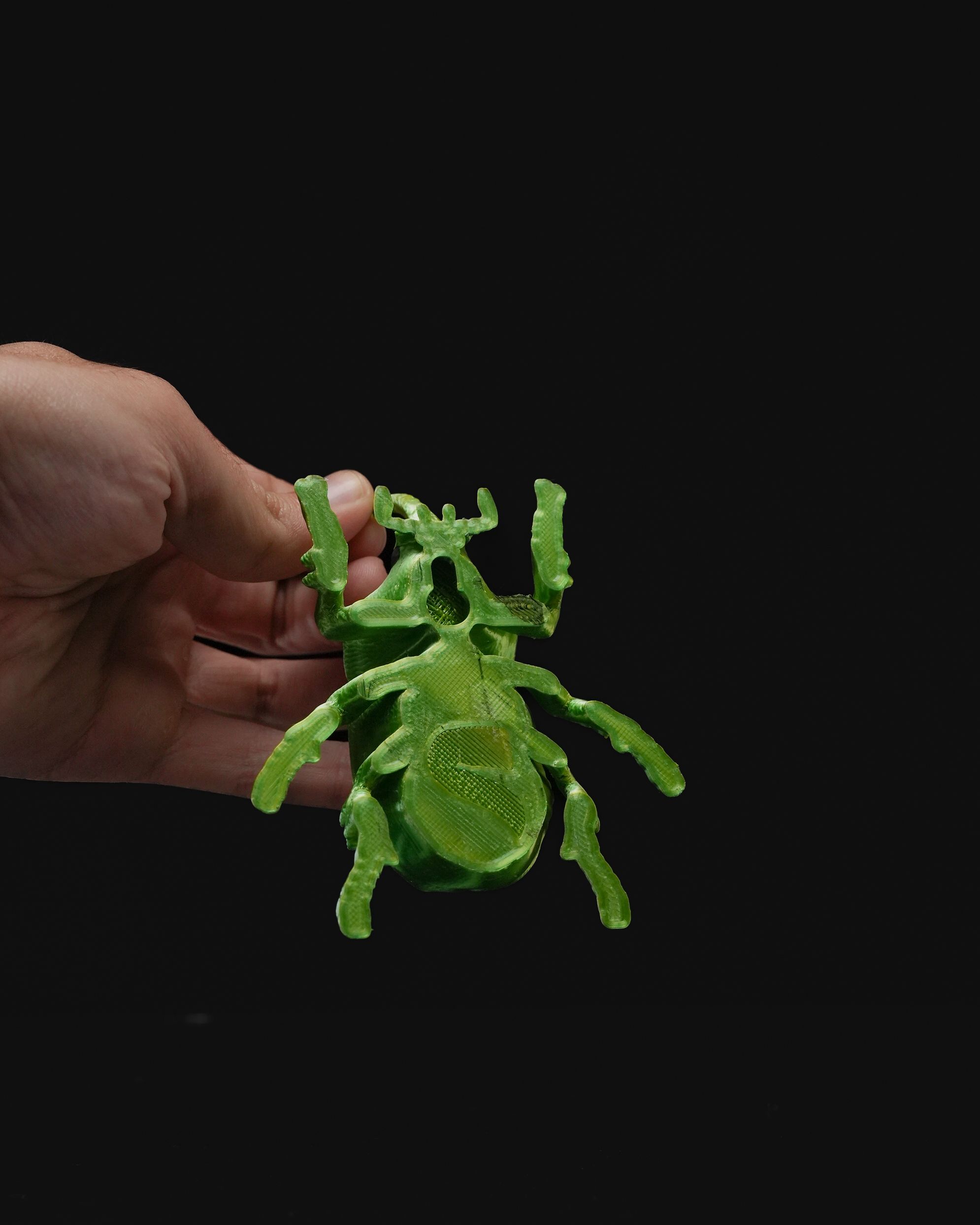 Beetles on the Wall — Rhino - Image 2