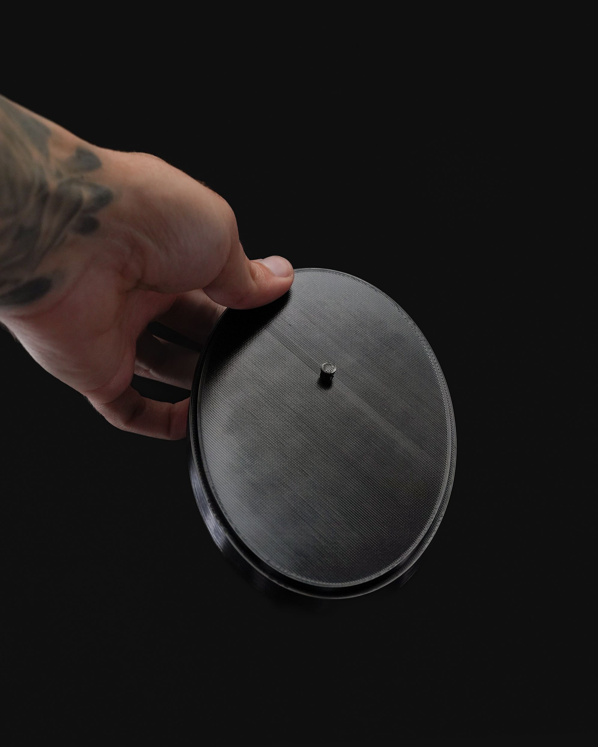 Beetles on the Wall — Rhino - Image 5