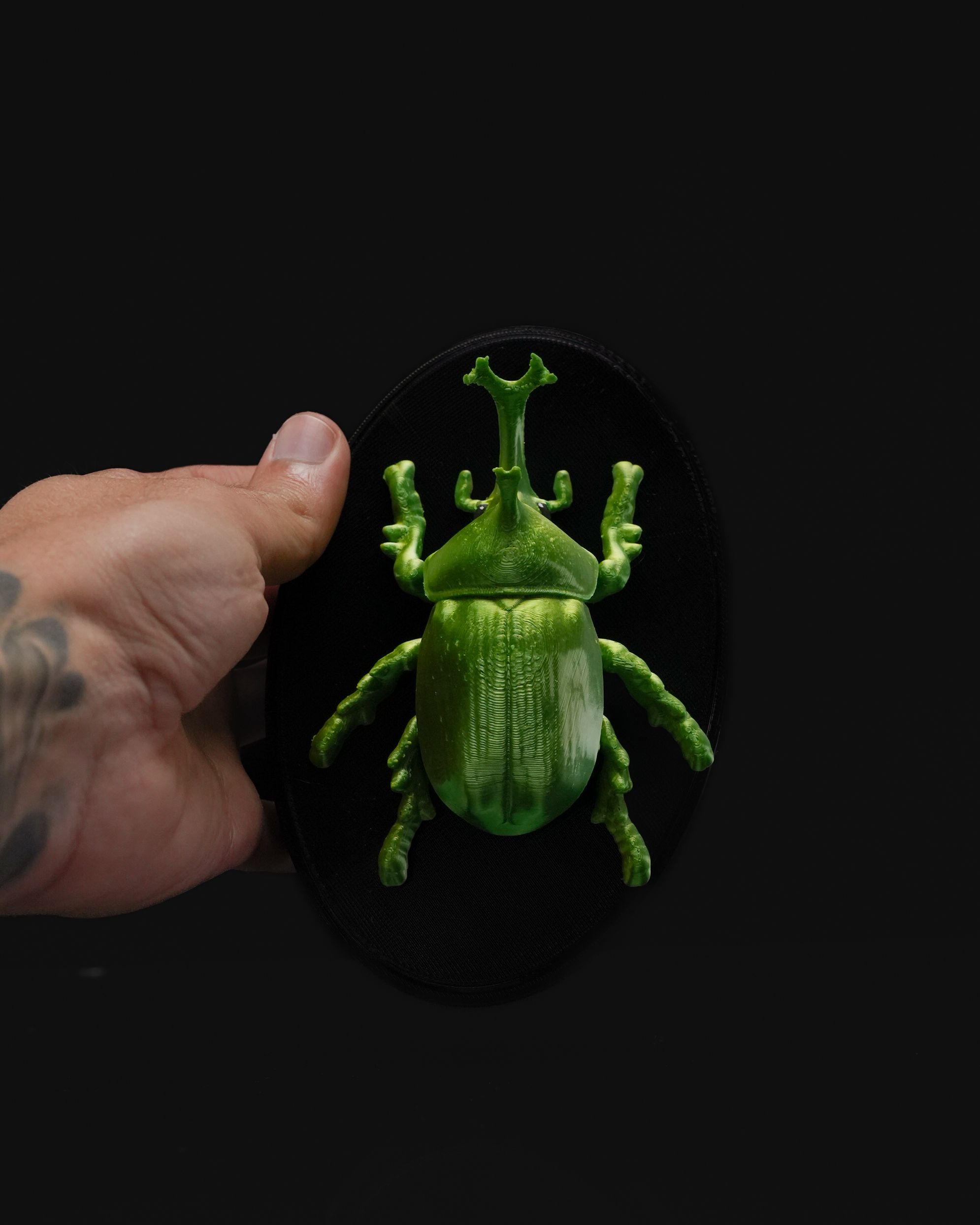 Beetles on the Wall — Rhino - Image 4