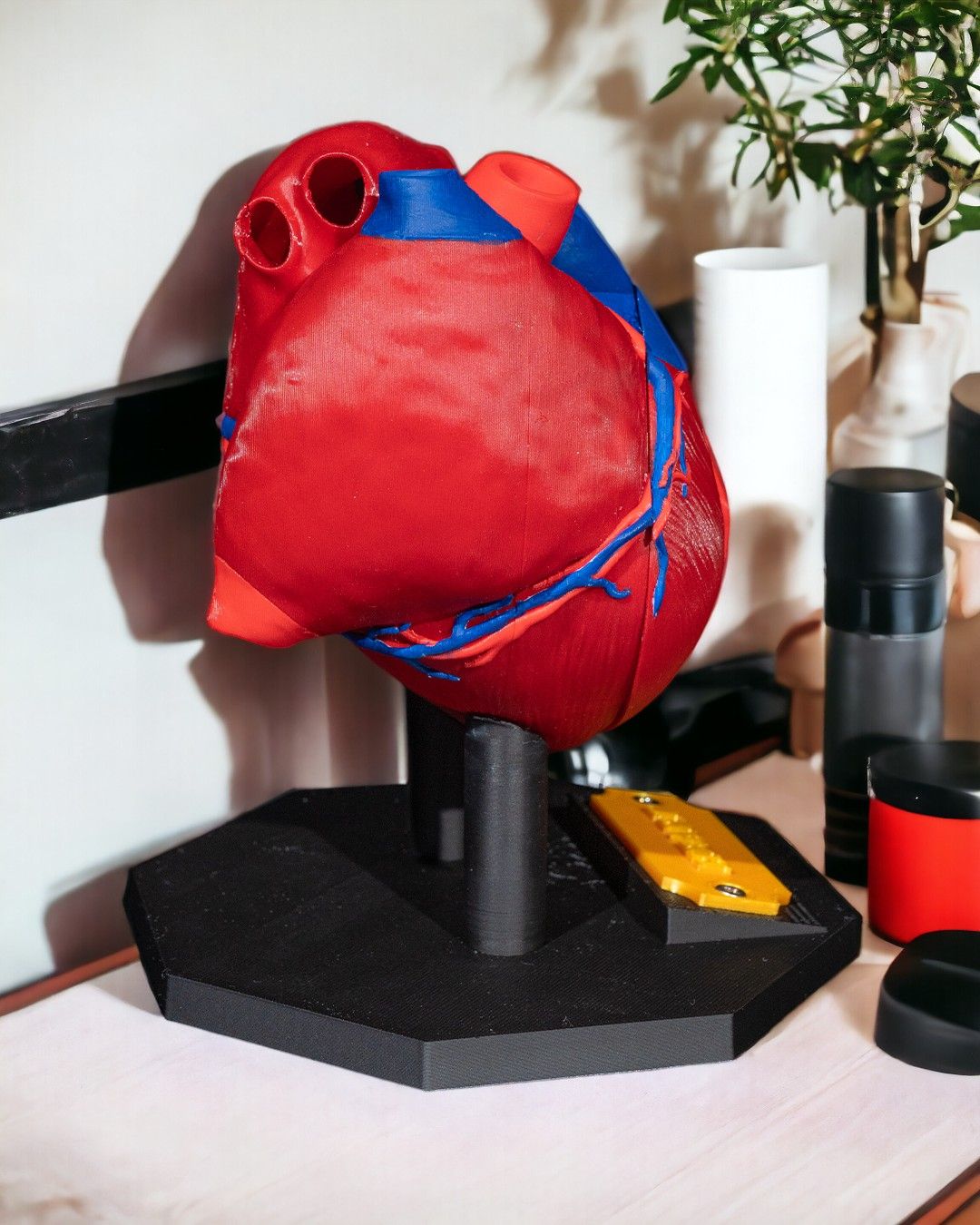 Heart Anatomical Model - Image 5