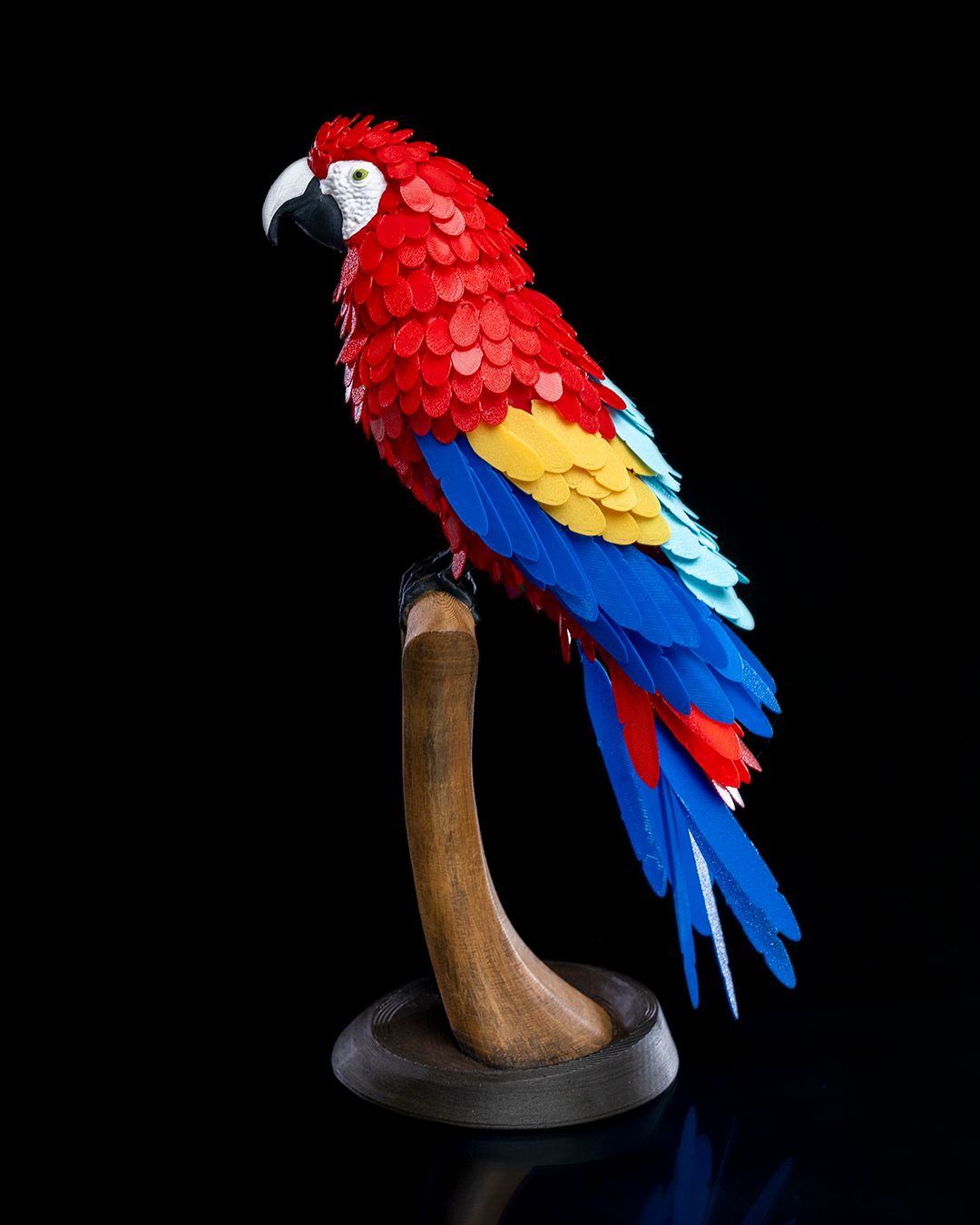 Macaw Feather Puzzle - Image 4