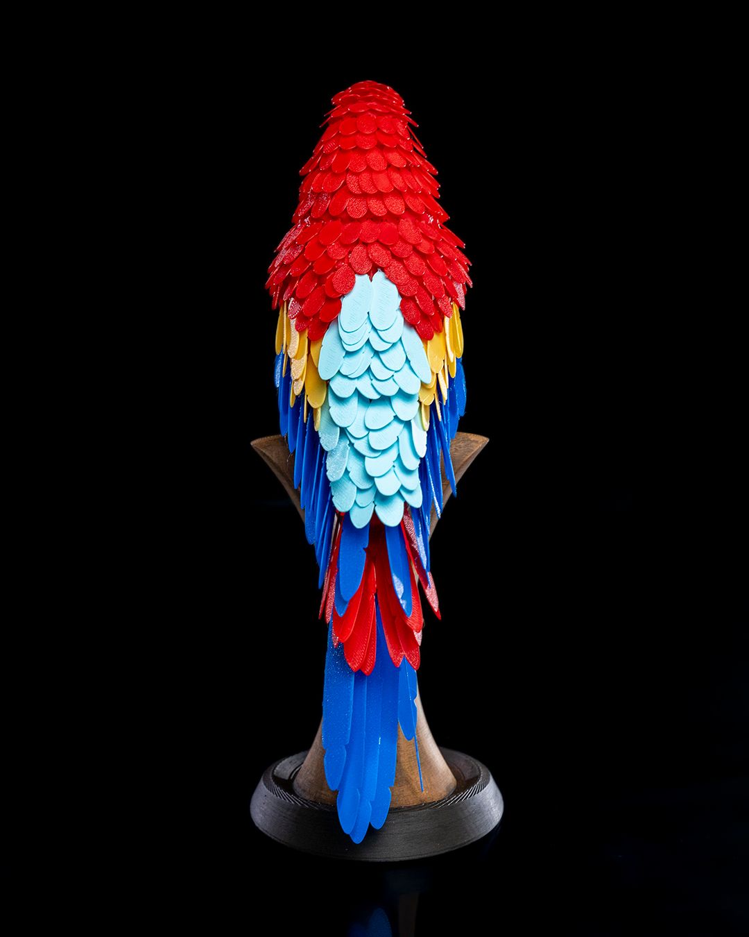 Macaw Feather Puzzle - Image 5