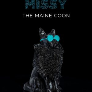 Missy, the Maine Coon