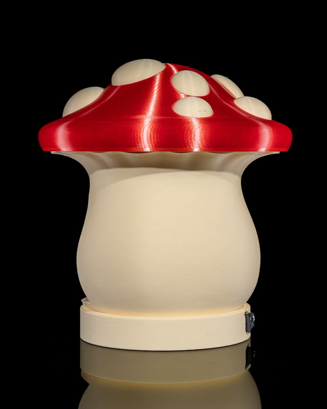 Outdoor Fun-gi - Image 6