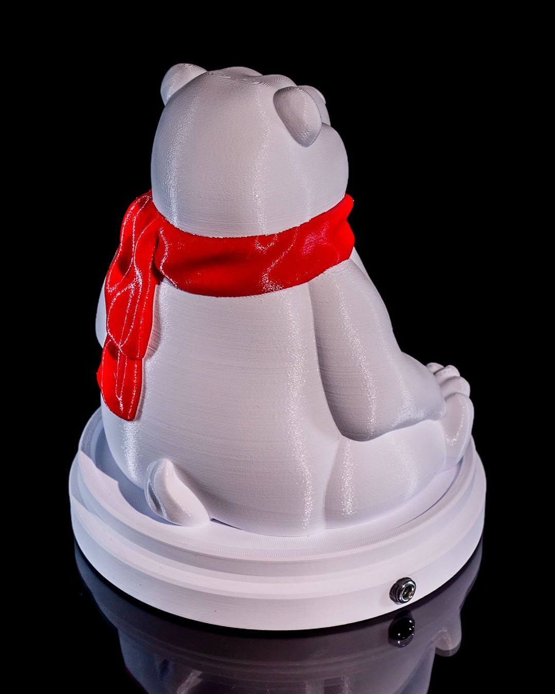 Polar Bear - Image 6