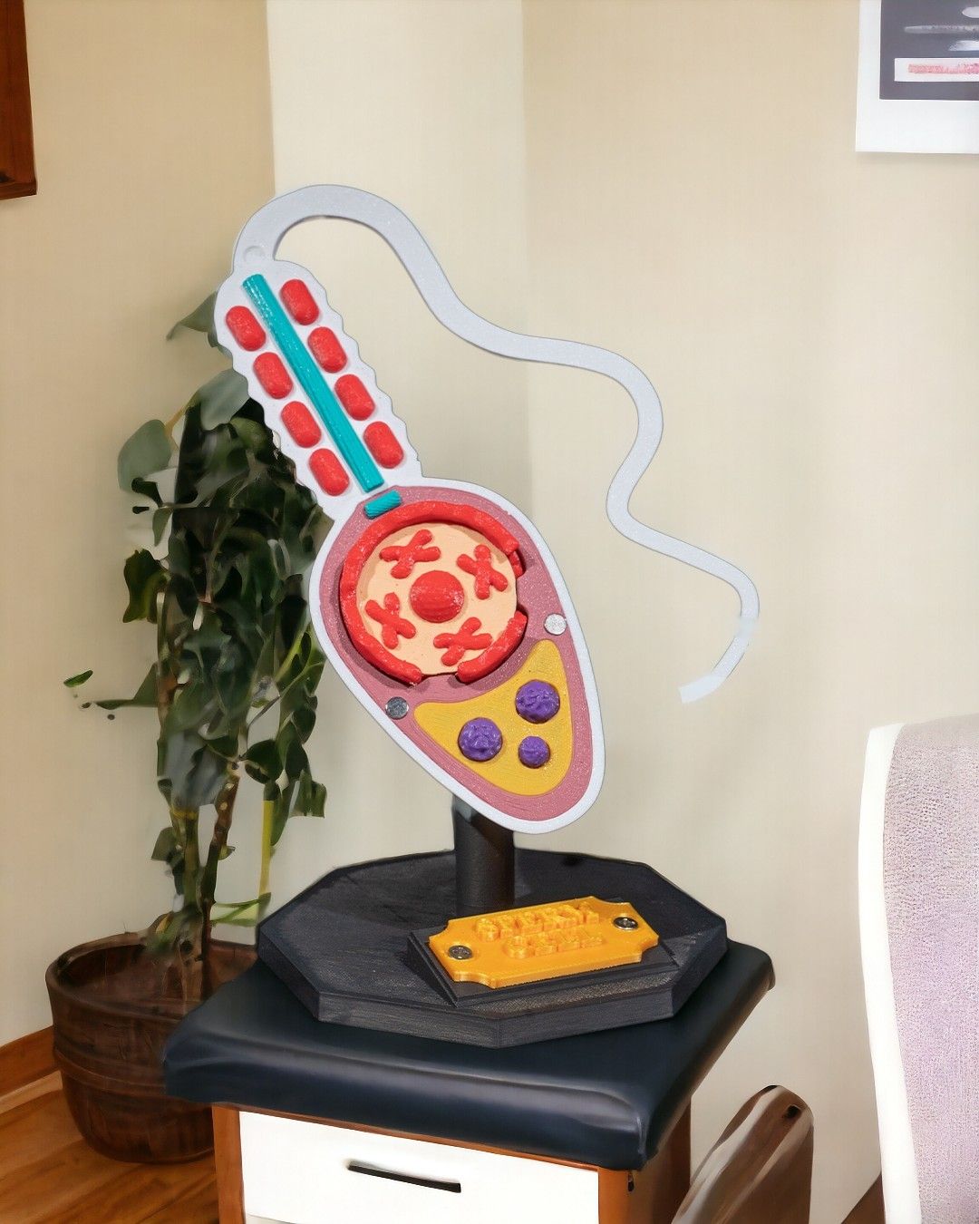 Sperm Cell - Image 3