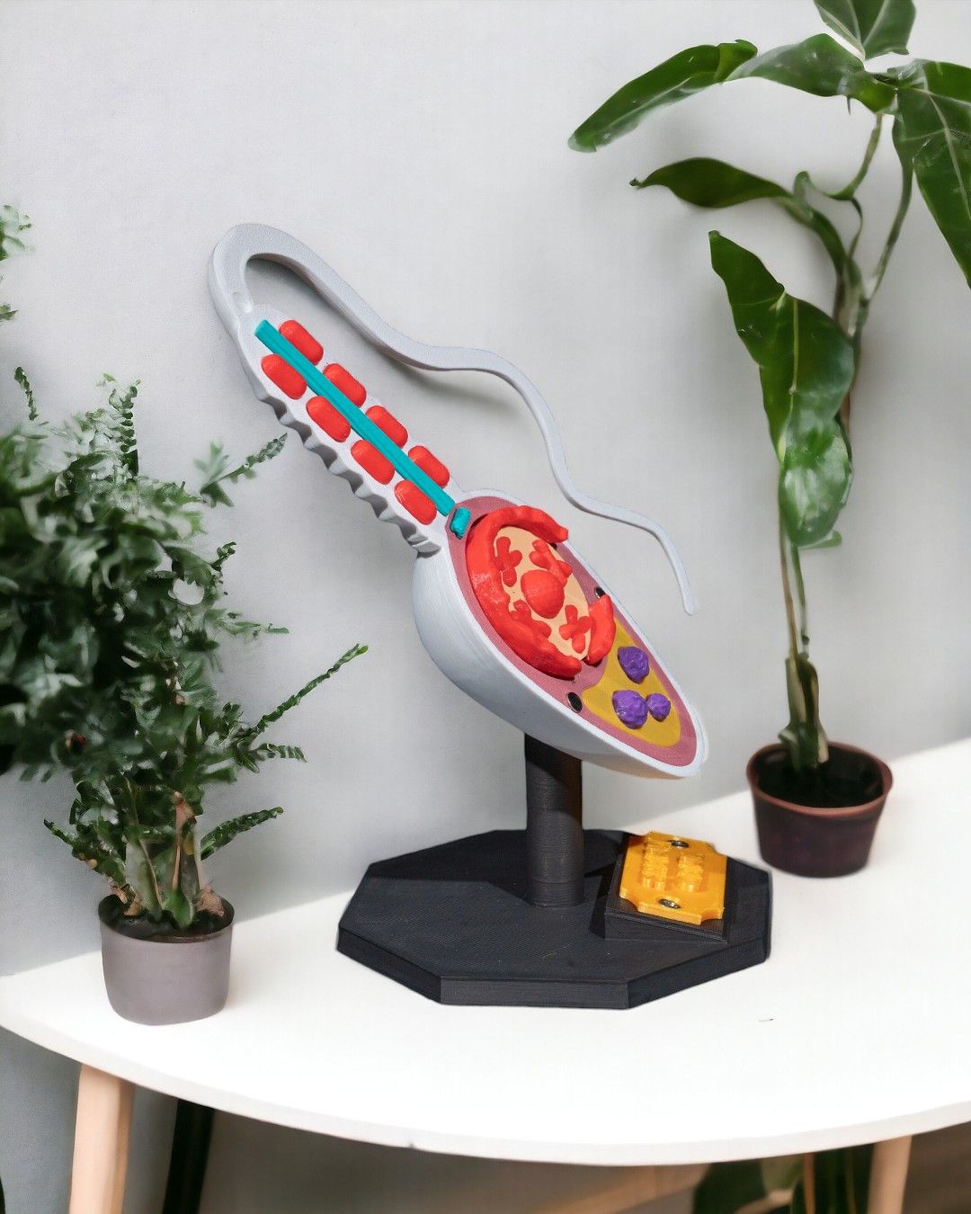 Sperm Cell - Image 5