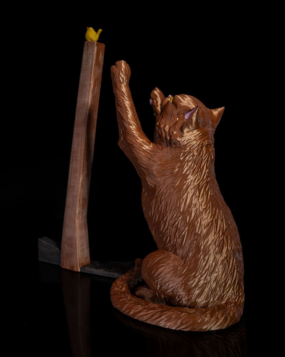 The Cat, the Bird and the Paper Towel - Image 6