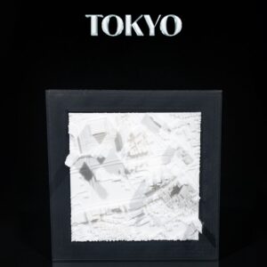 3D City Frames - Tokyo, Japan