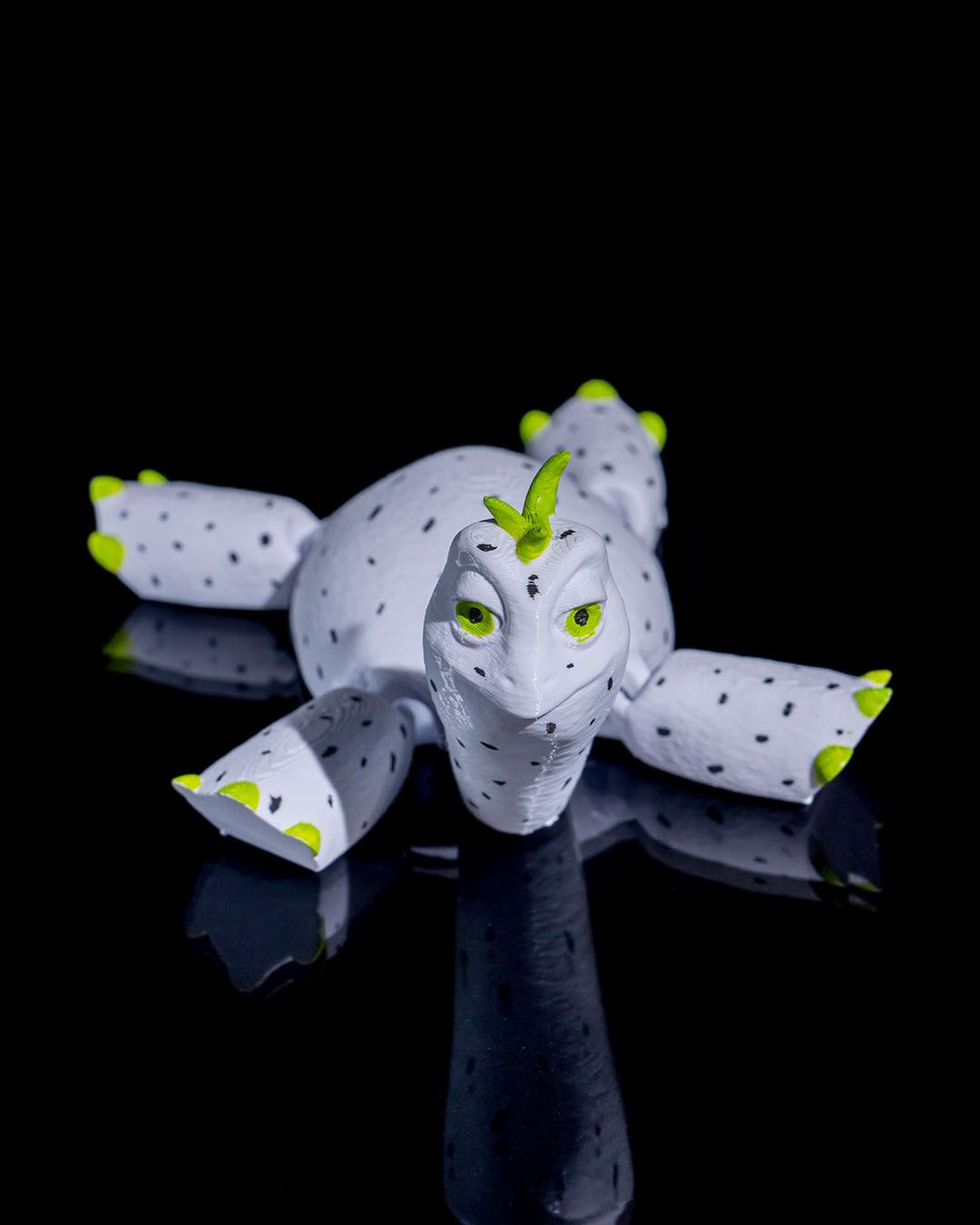 Turtle Fruit - Image 3