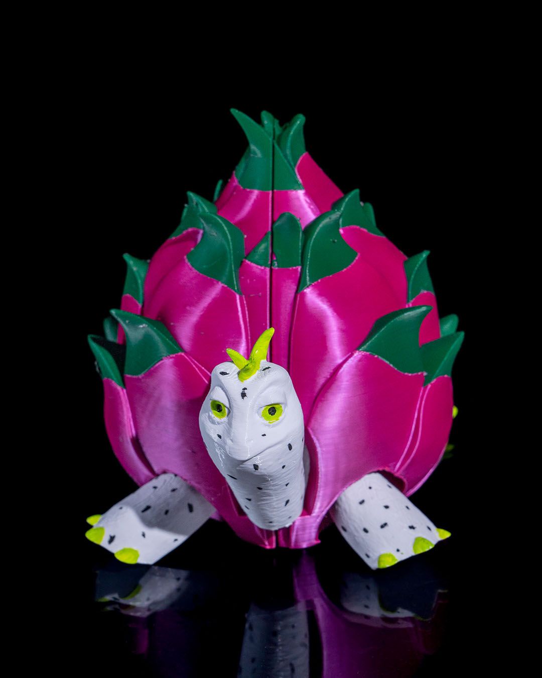 Turtle Fruit - Image 5