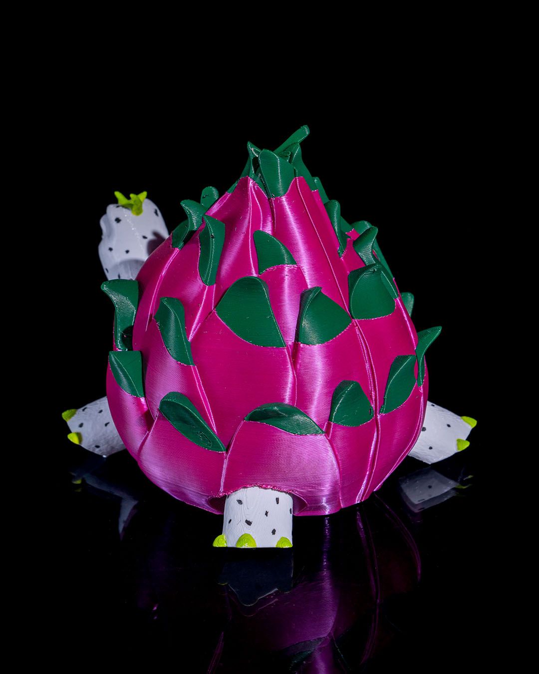 Turtle Fruit - Image 6