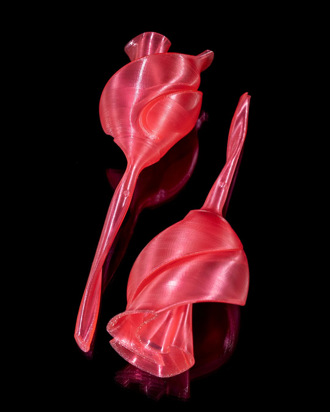 Twisted Rose - Image 5