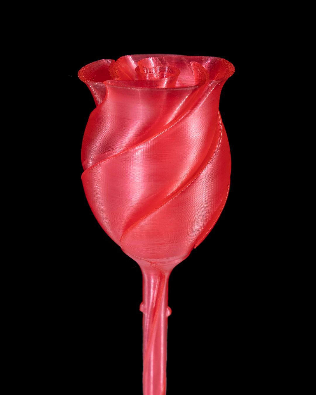 Twisted Rose - Image 6