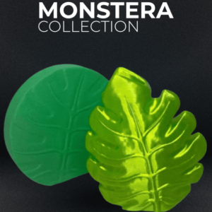 Monstera Collection