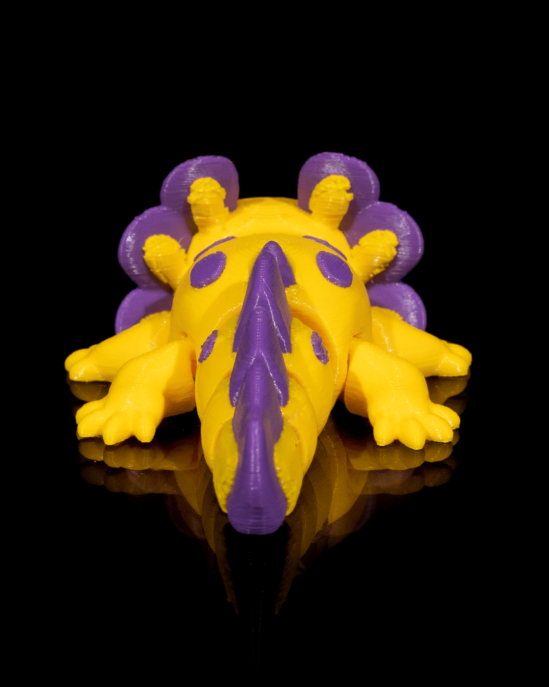 Axolotl - Baby Split - Image 8