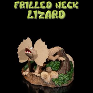 Frilled Neck Lizard