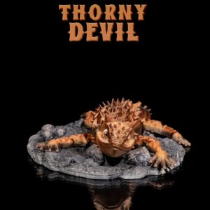 Thorny Devil