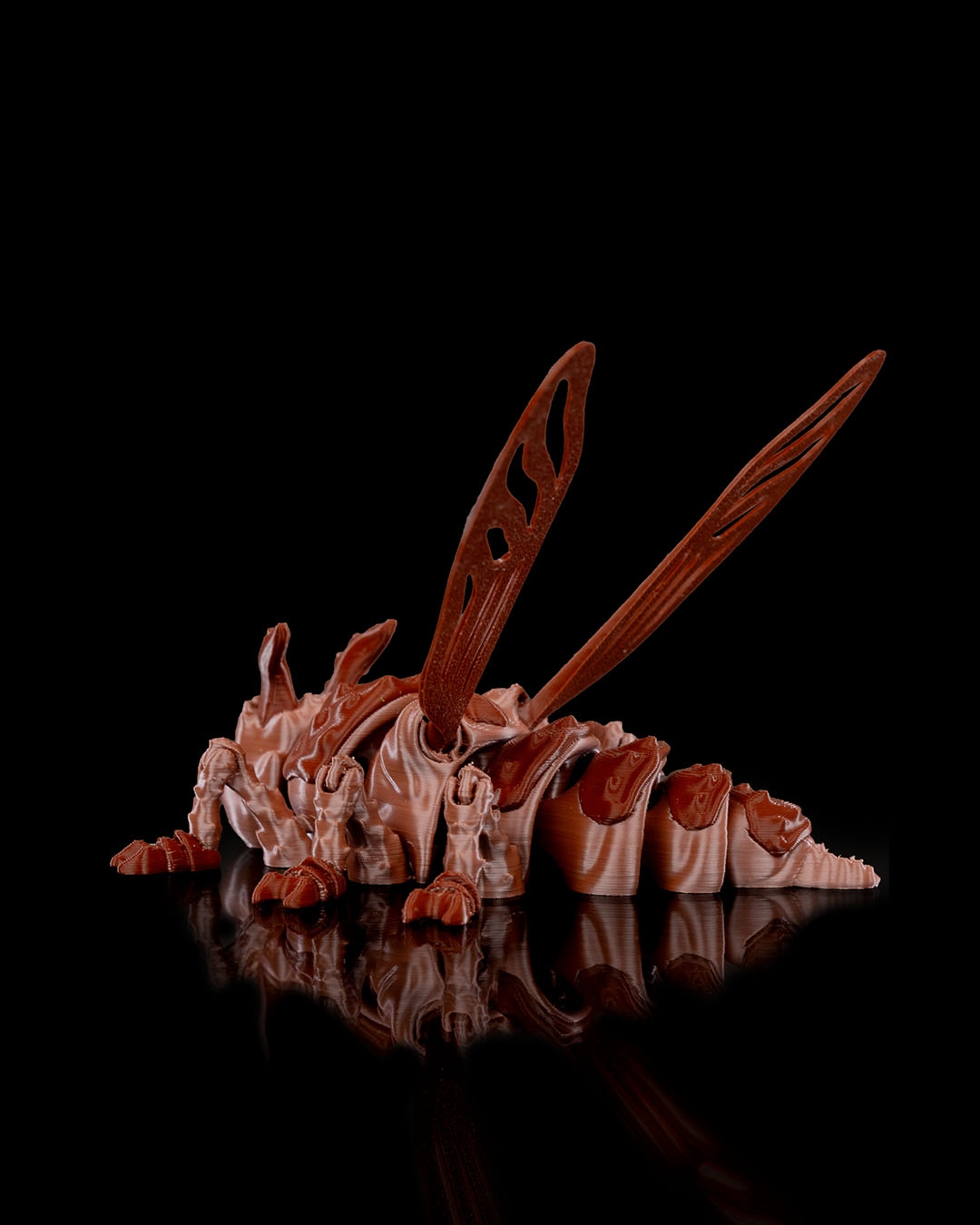 Barata Larry - Image 5