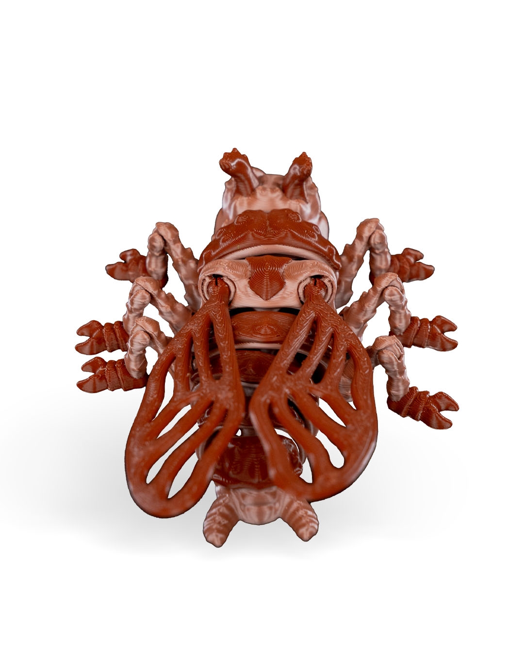 Barata Larry - Image 18