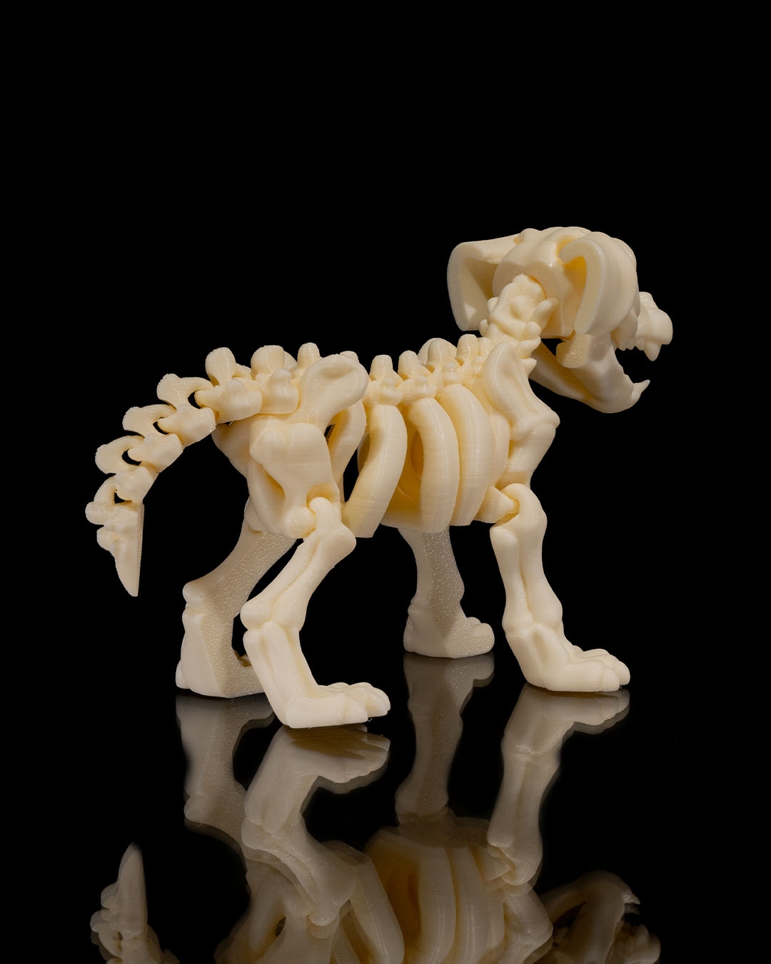 Skeleton Dog - Image 6