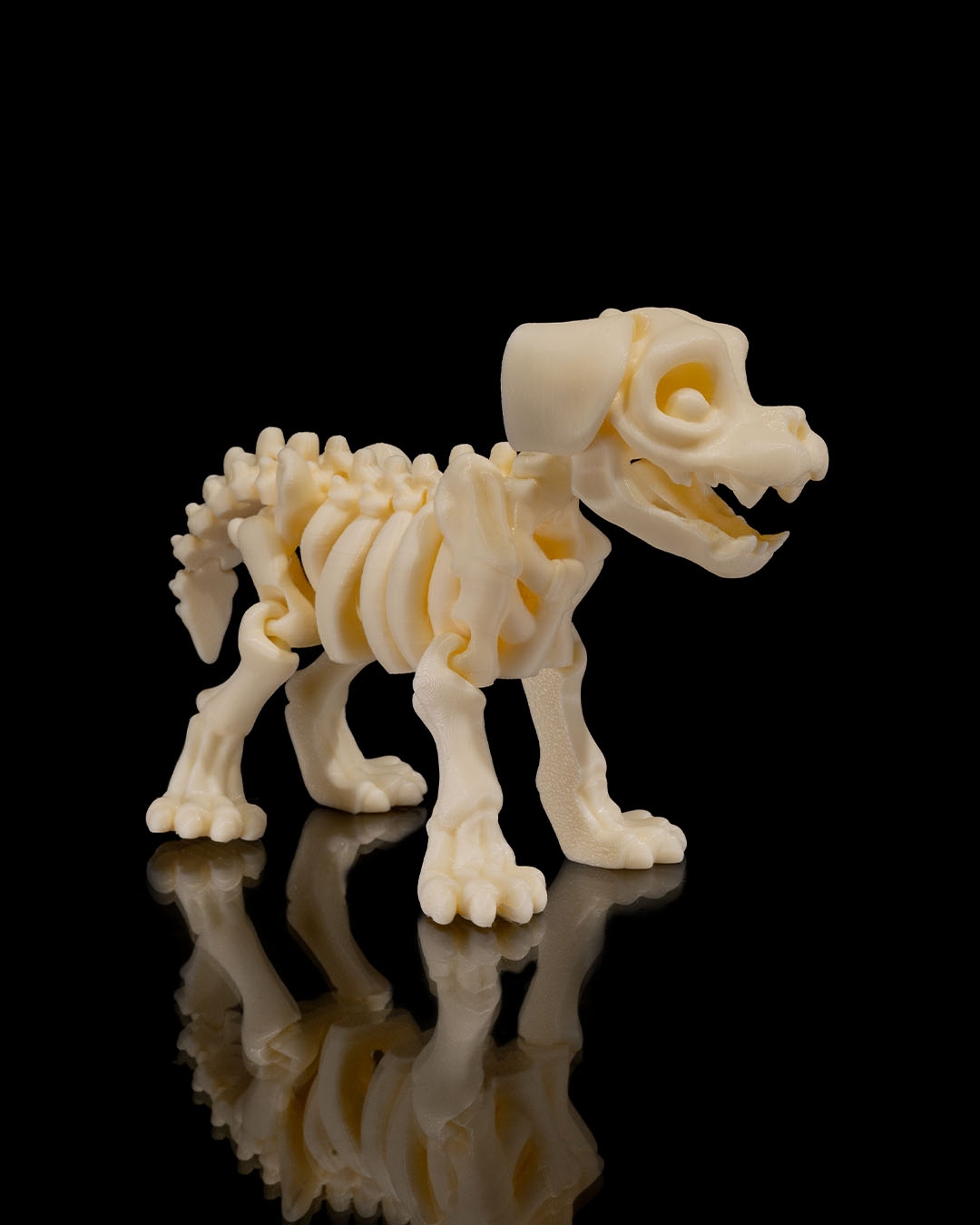 Skeleton Dog - Image 7