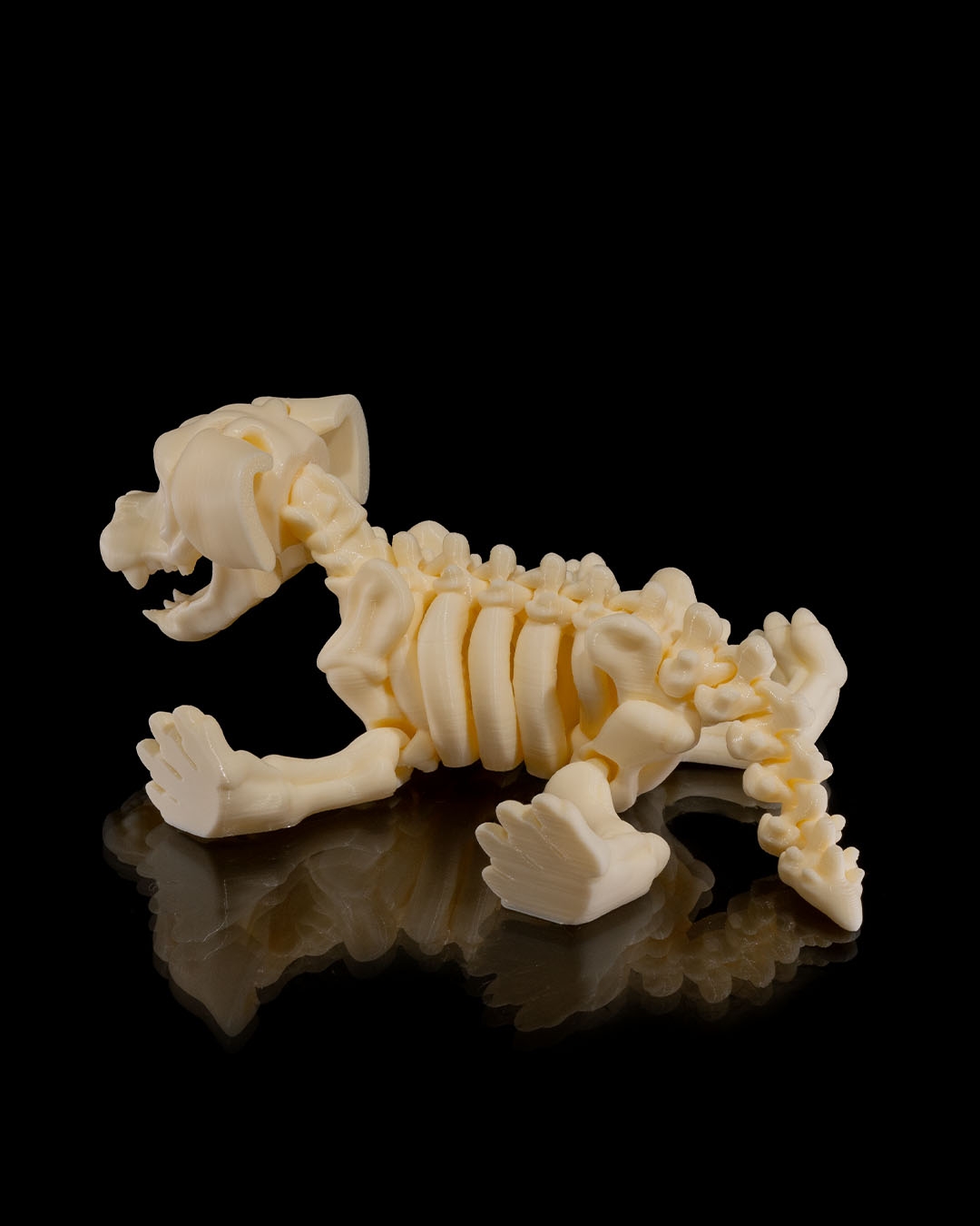 Skeleton Dog - Image 9