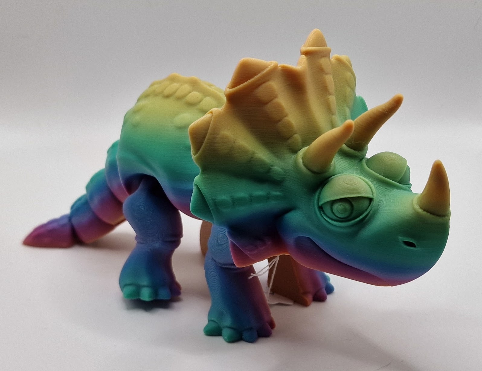 Triceratops