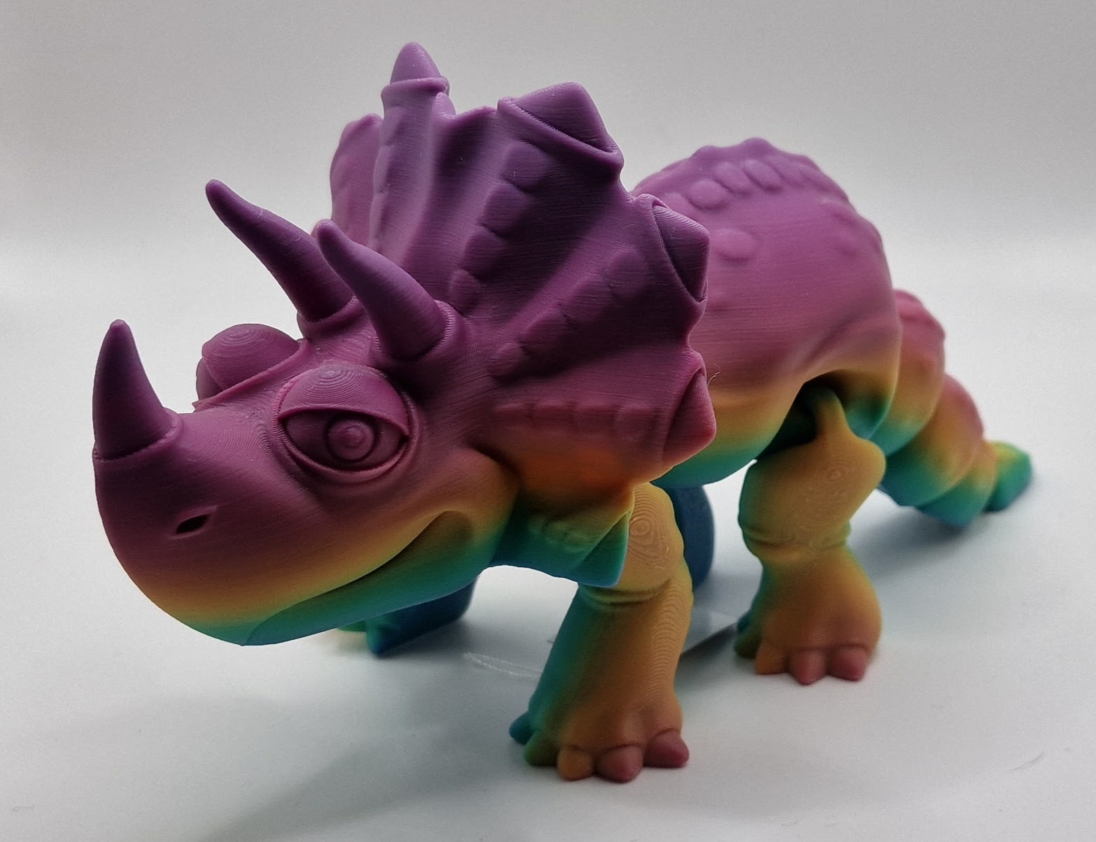 Triceratops - Image 2