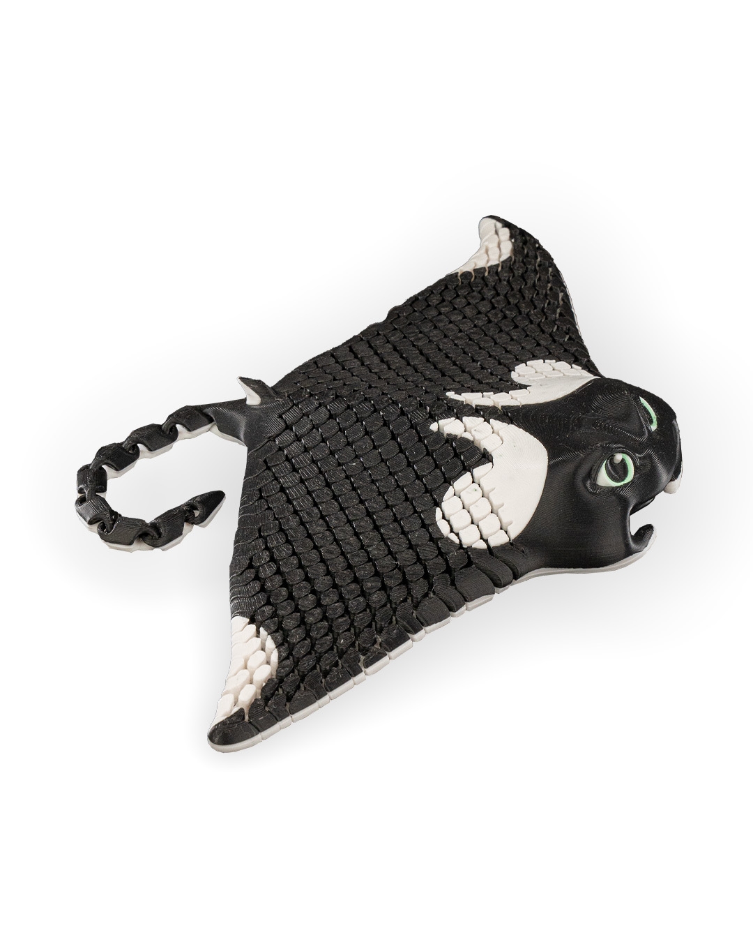 Manny, the Manta Ray - Image 11