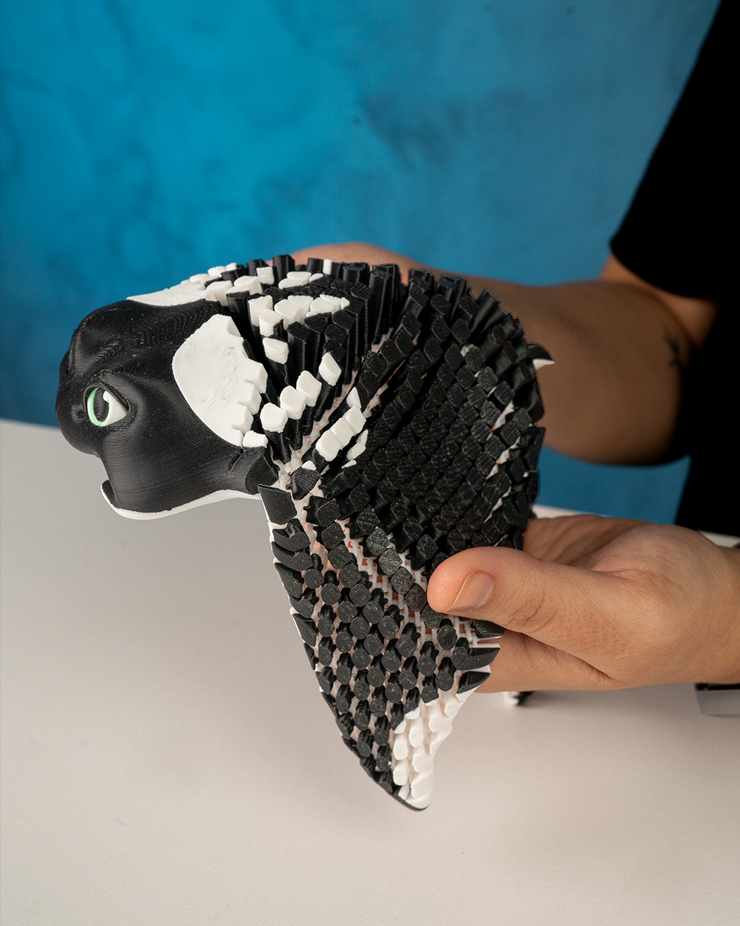 Manny, the Manta Ray - Image 4