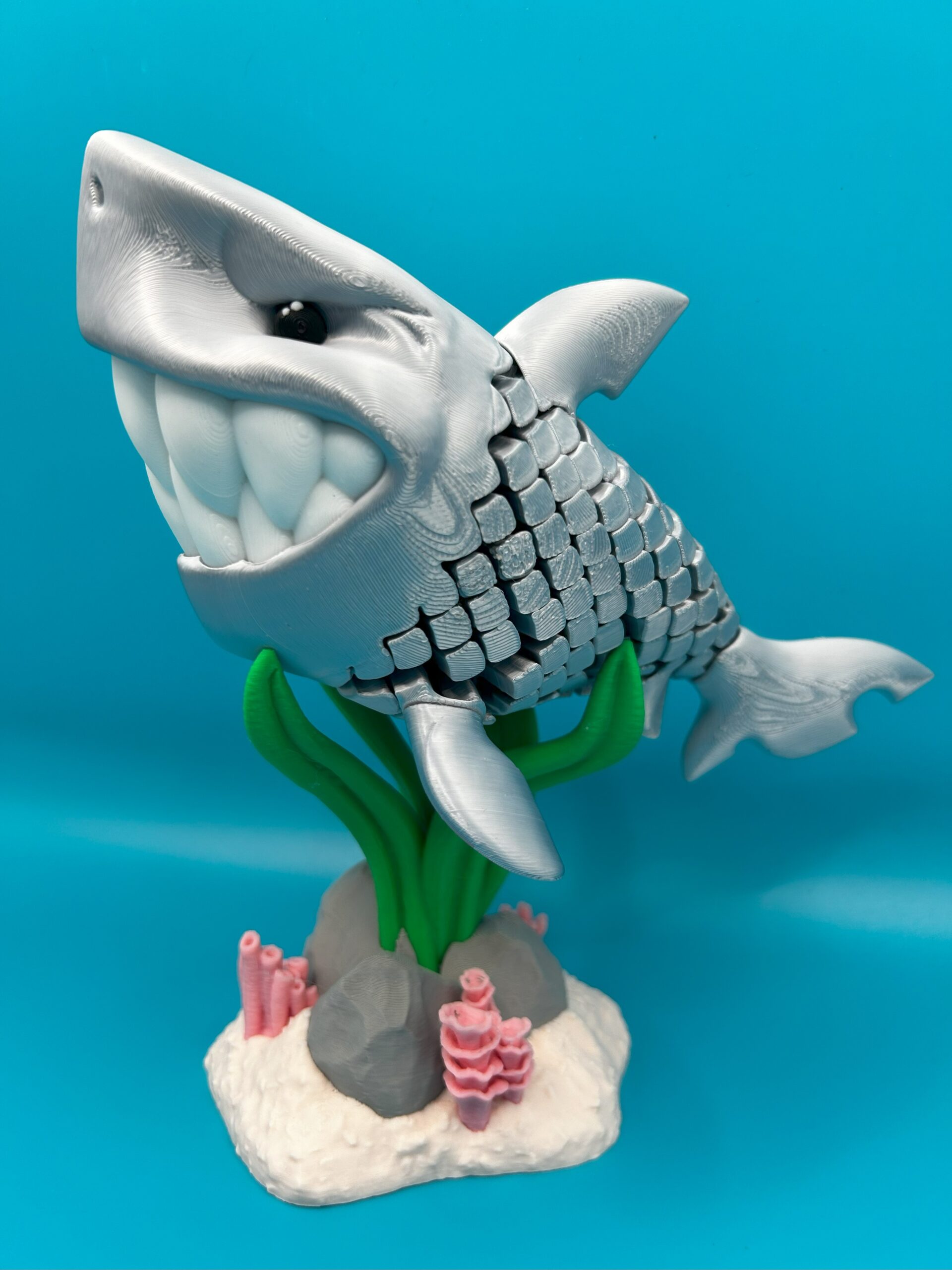 Travis, the Silver Shark - Image 2