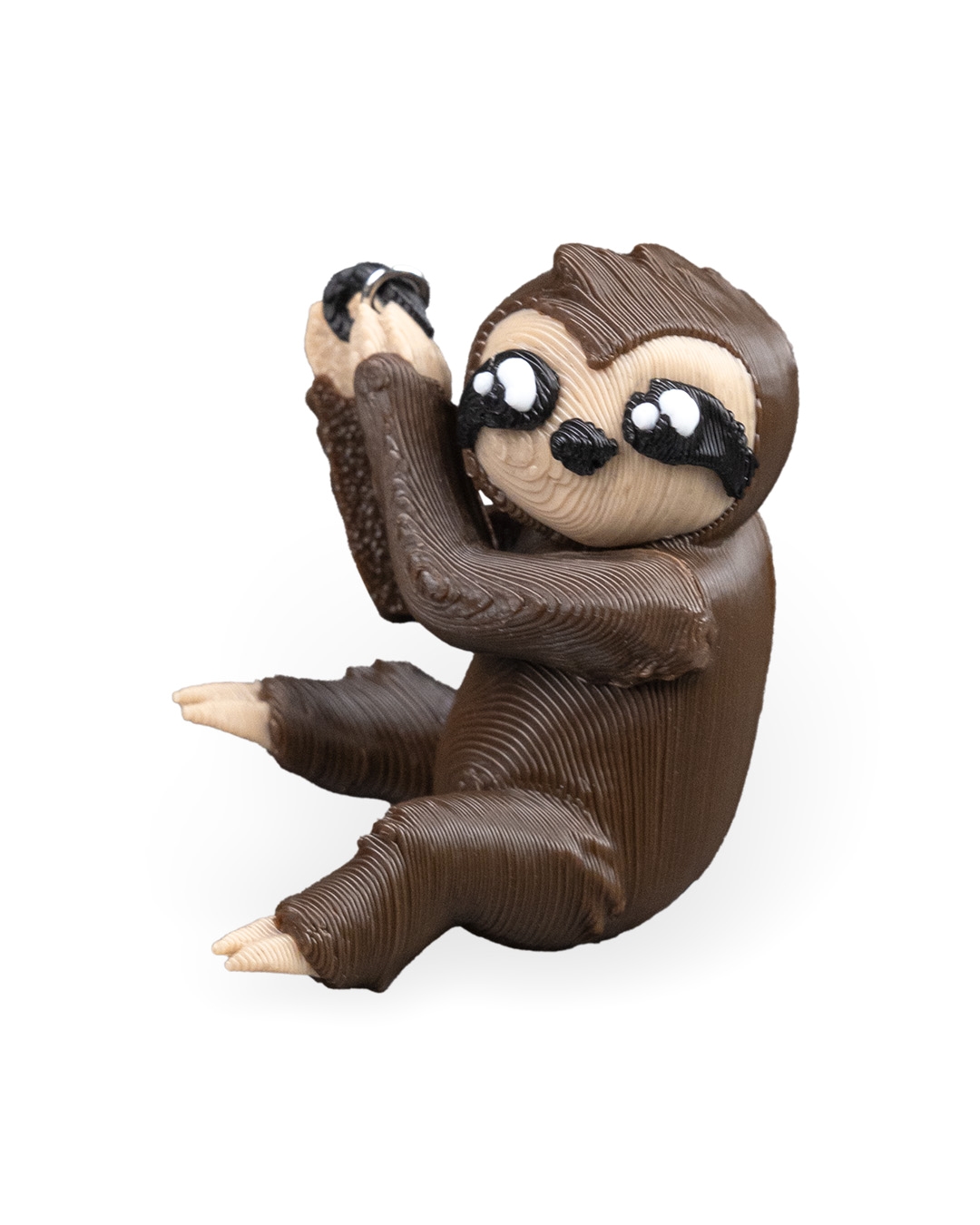 In the right Sloth - Image 9