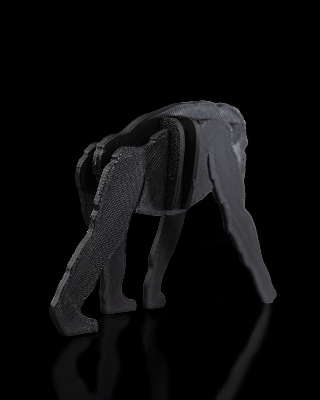 Bonobo Kit Card - Image 4