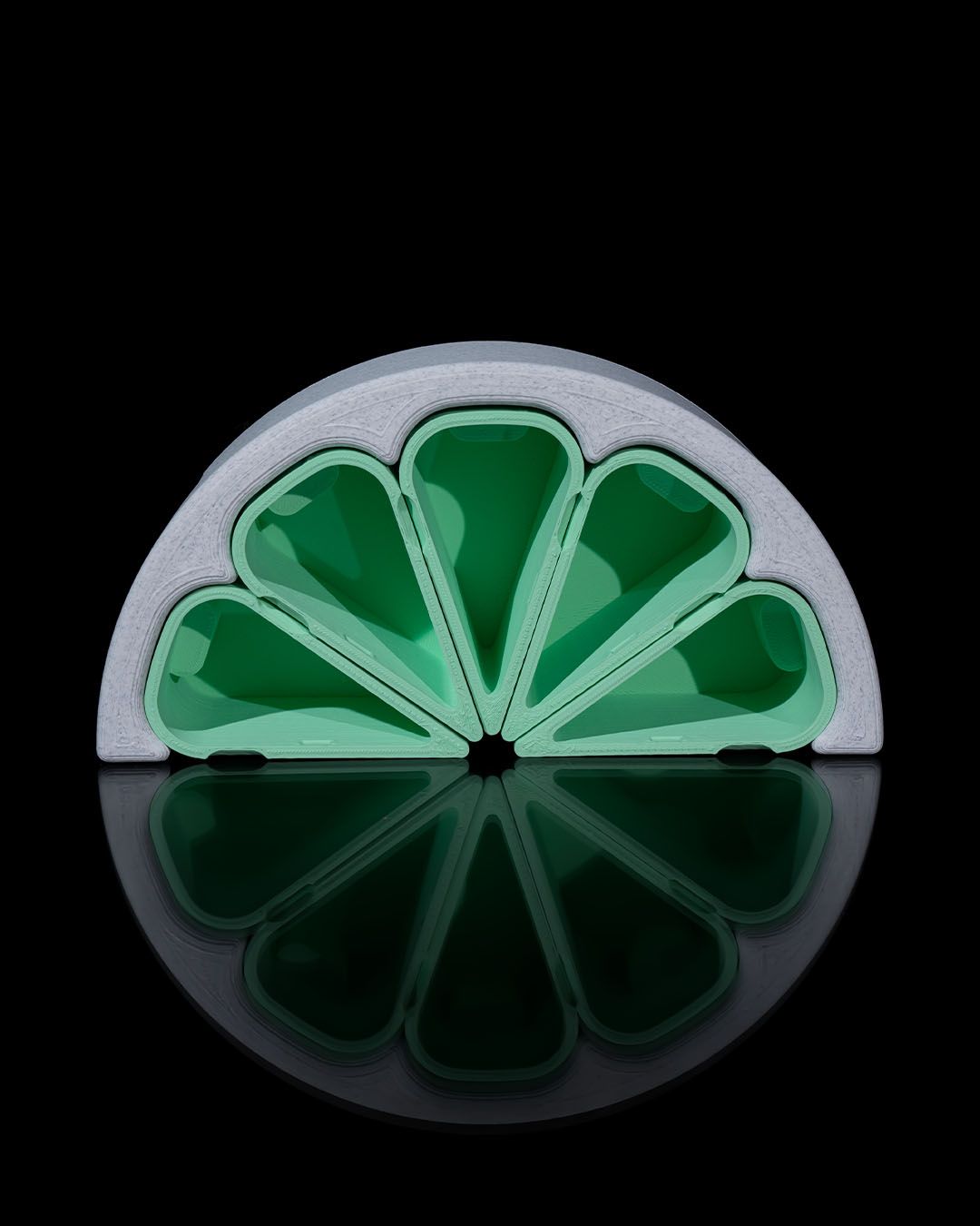 Citrus Vibes - Image 7