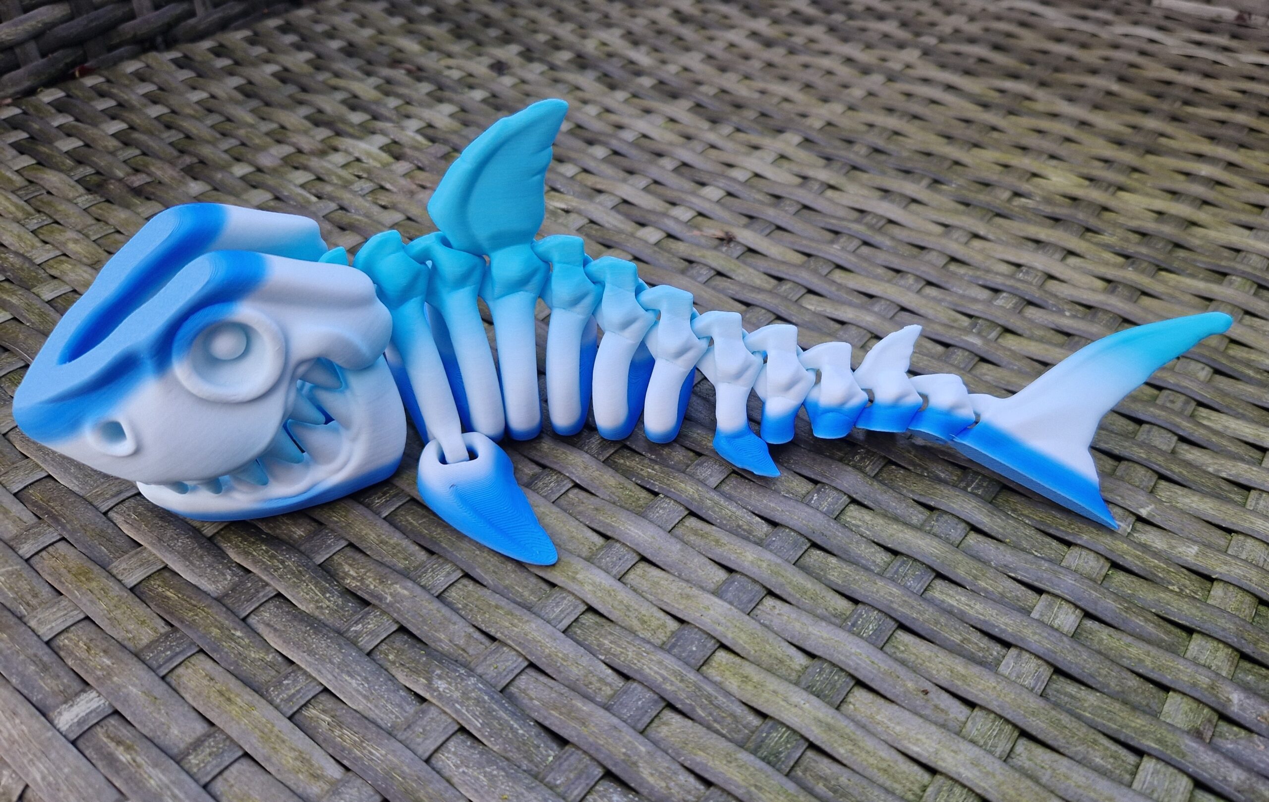 Shark Skeleton