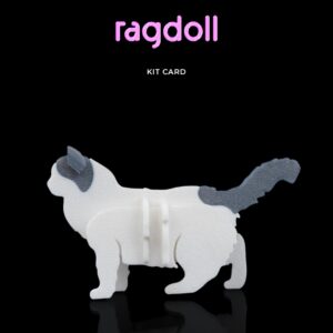 Ragdoll Kit Card
