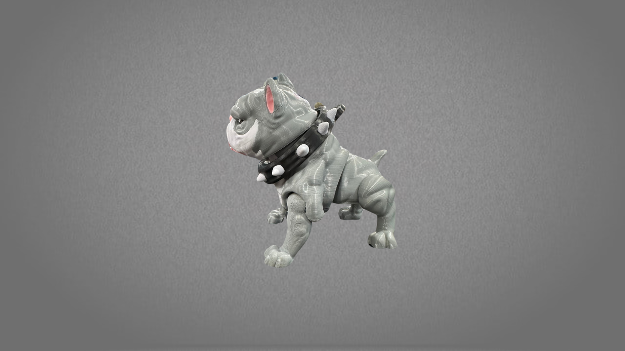 American Bully Grande - Image 6