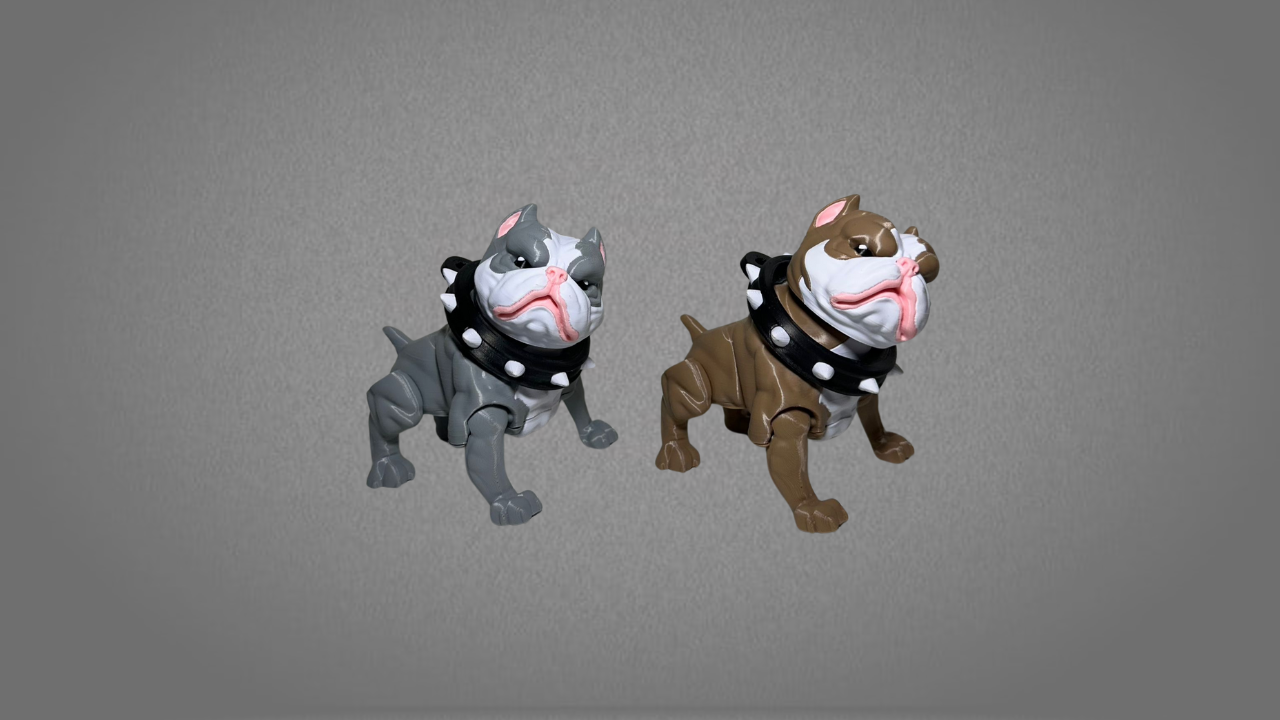 American Bully Grande - Image 5