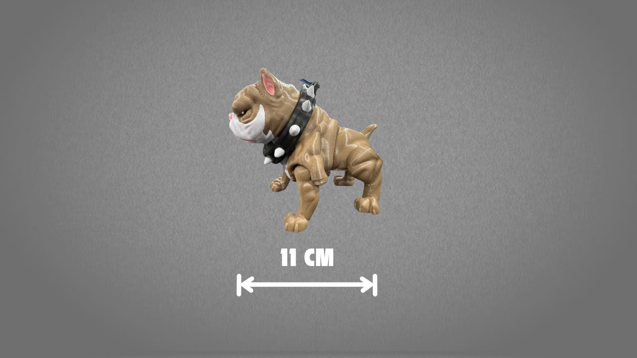 American Bully Grande - Image 3