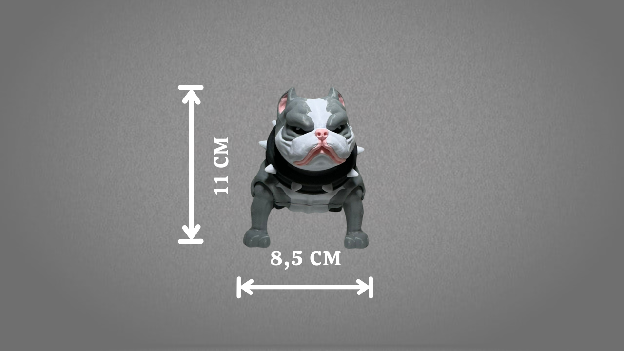 American Bully Grande - Image 2