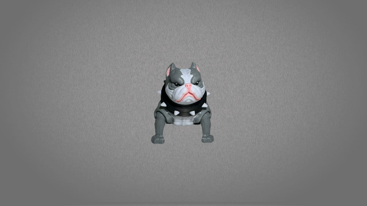 American Bully Grande - Image 9