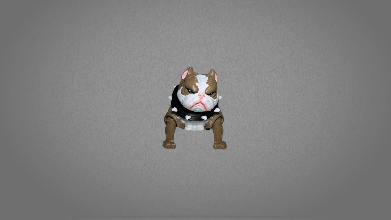 American Bully Grande - Image 8